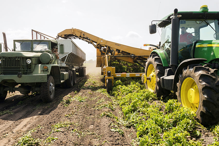 Requisitos para comprar gasoil agrícola o bonificado